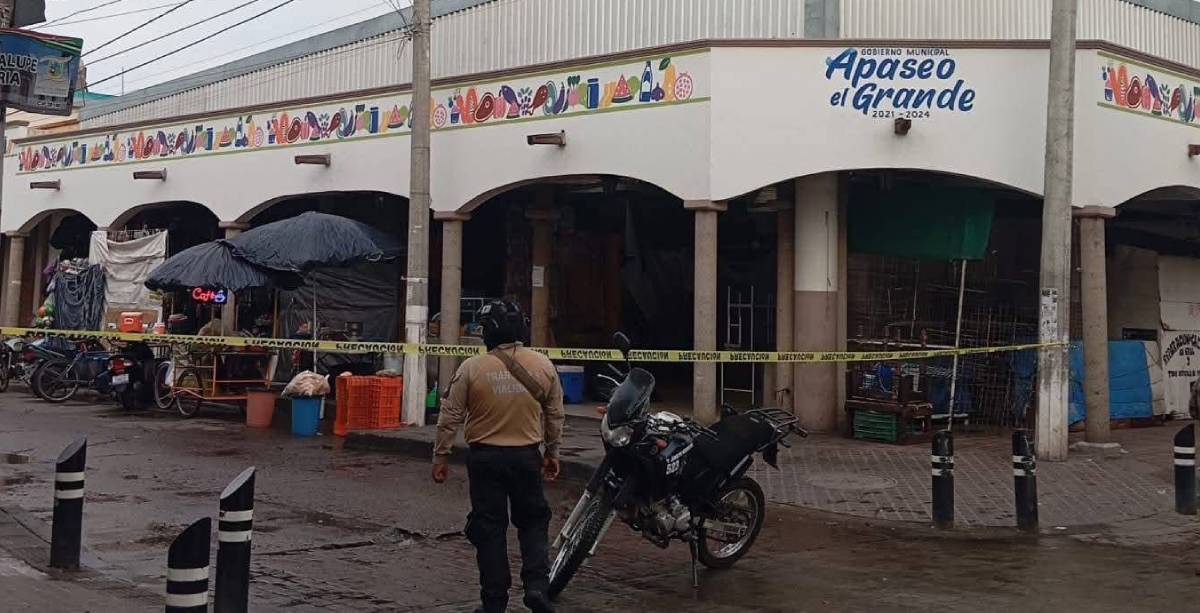 Mercado Apaseo 2