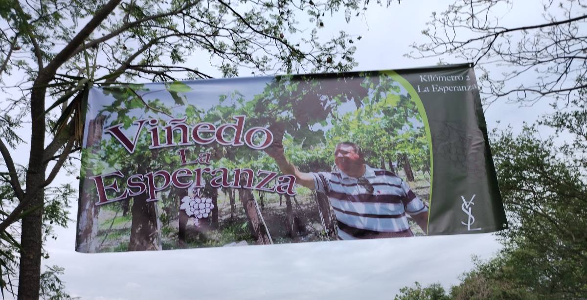 Vinedo La Esperanza