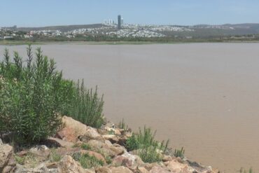 presa 2