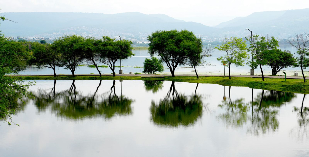 Presa El Palote 1