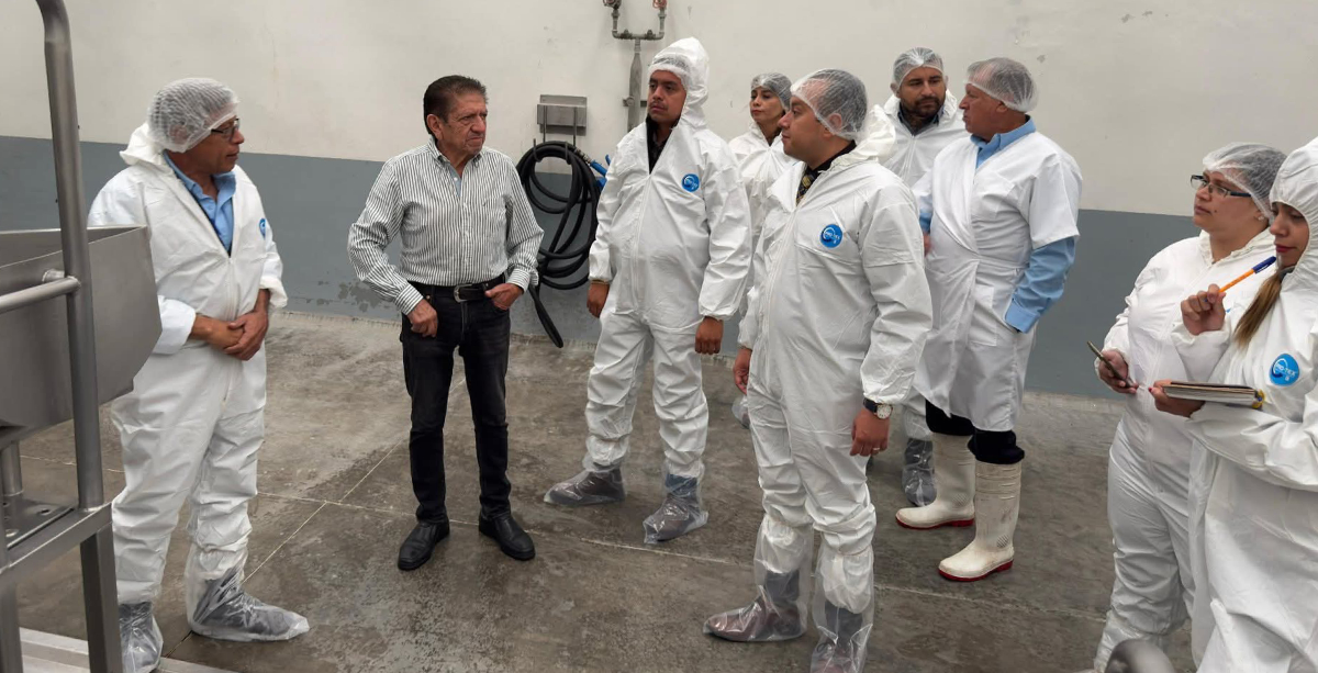 Visita rastro SMA