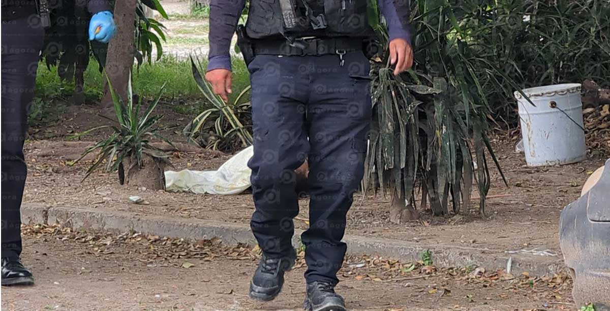 naranjos ataque