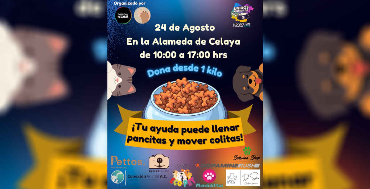 Croqueton Celaya