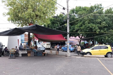 TIANGUIS GIRASOLES