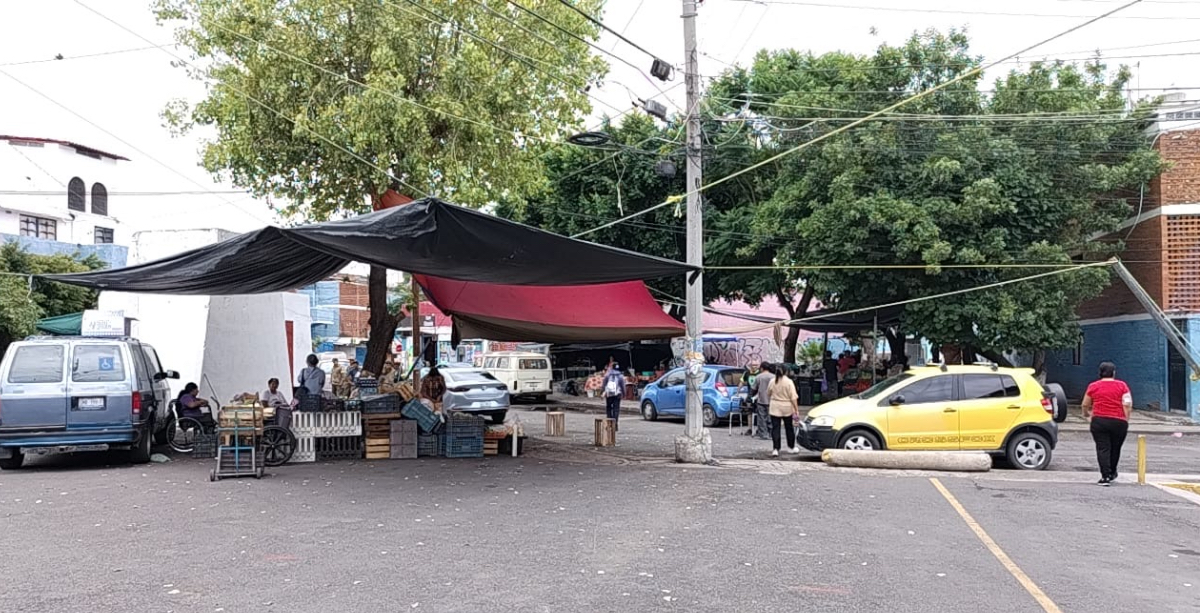 TIANGUIS GIRASOLES