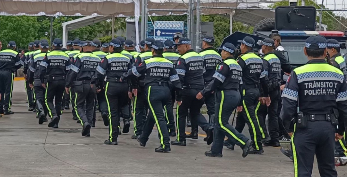 Transito Celaya