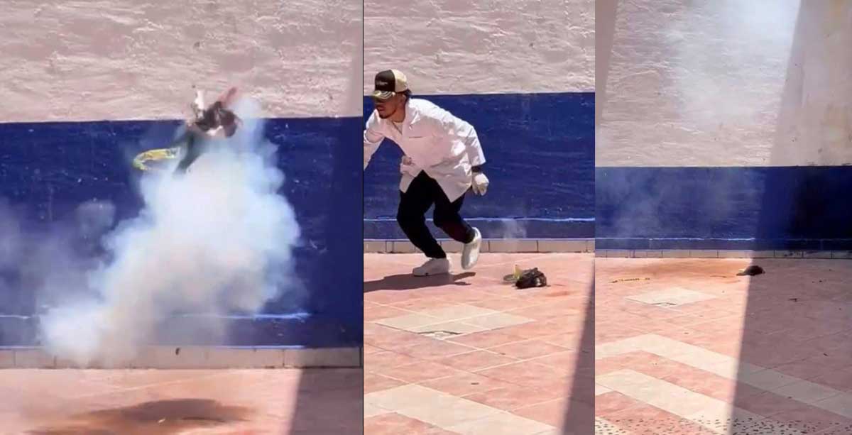 gato penjamo