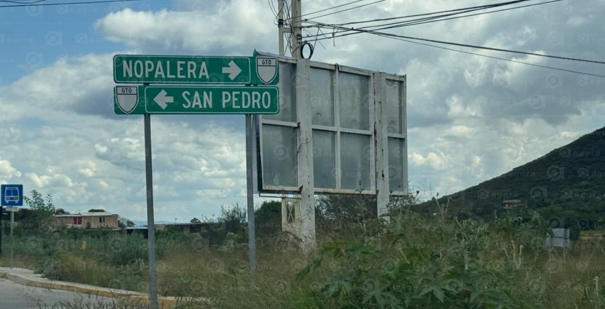 La nopalera trenazo comonfort