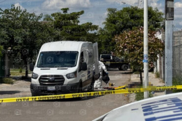 Olivos policiaca