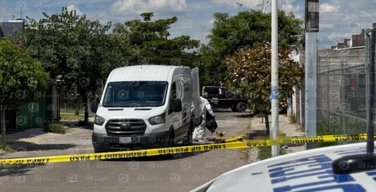 Olivos policiaca