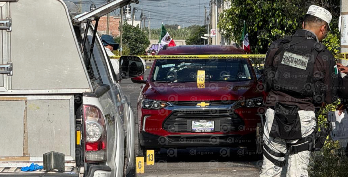 Transito asesinado 1
