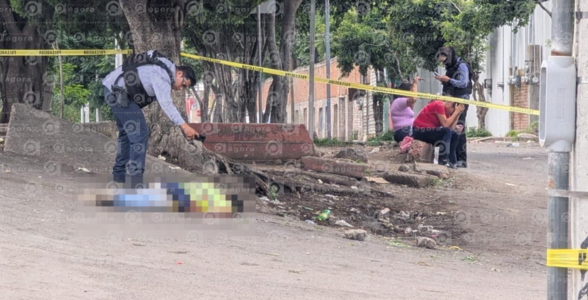 Viene viene mercado celaya