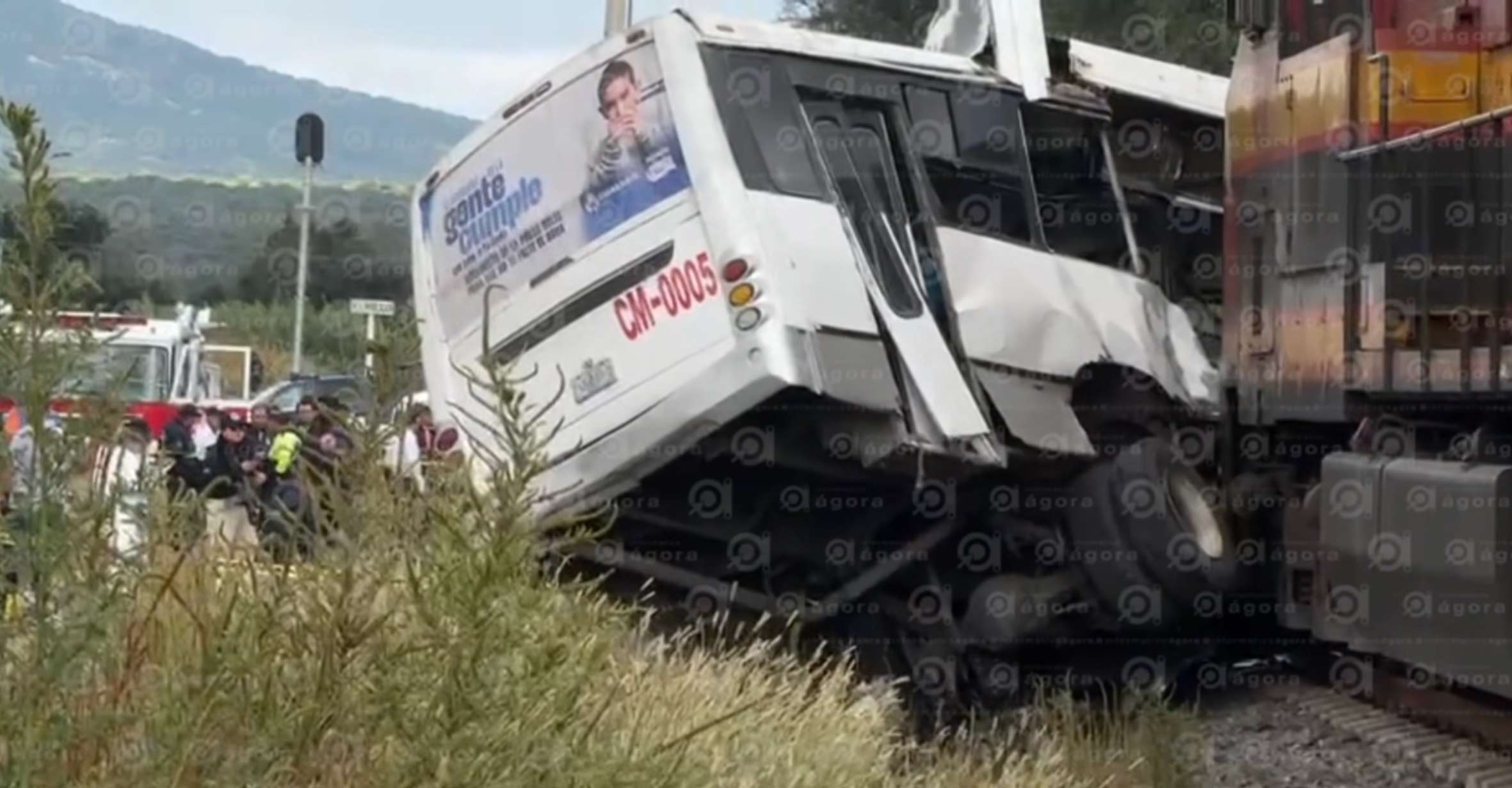camion tren