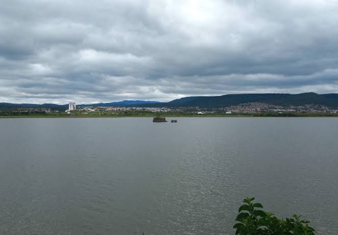 presa 7