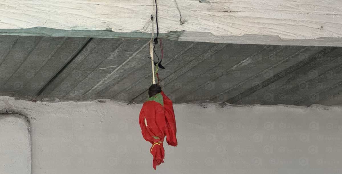 ANEXO FOCO