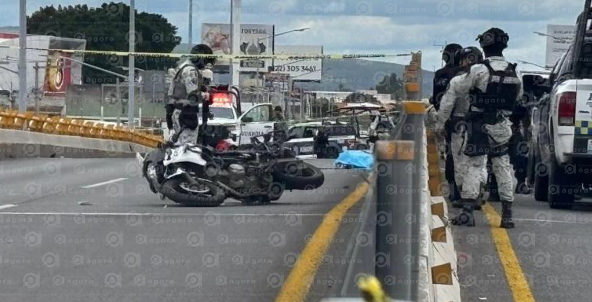 GN puente constituyentes
