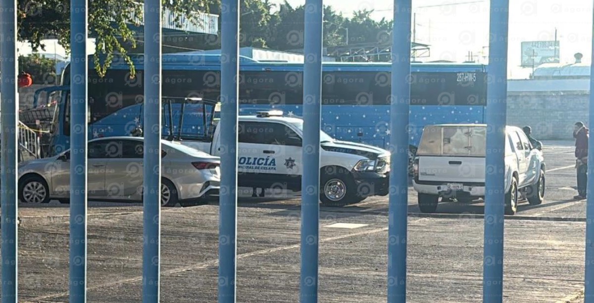 MUJER CAMION