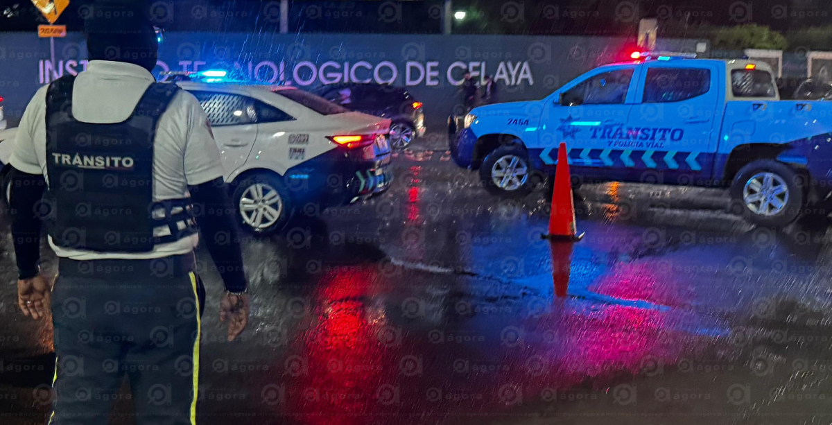 Transito Celaya 1