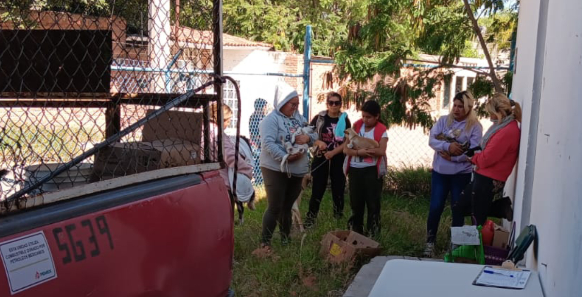 Esterilizacion
