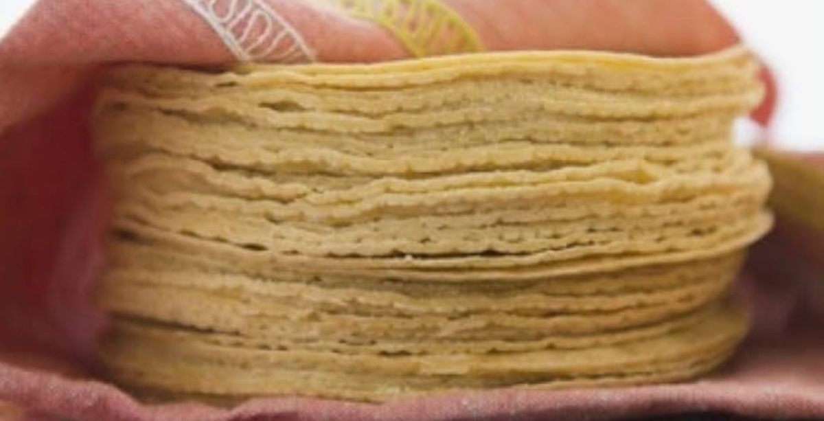 Tortilla