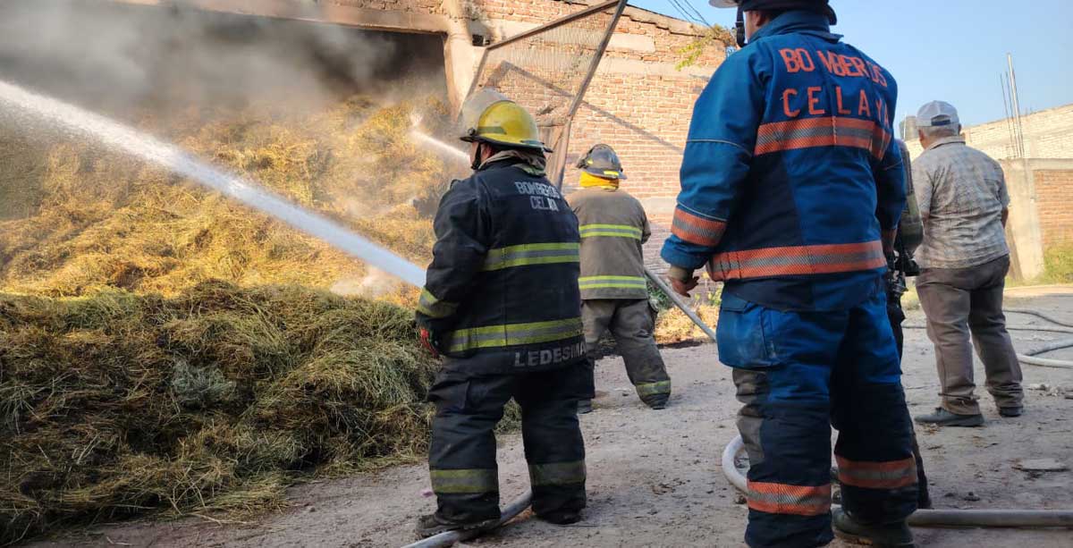 bomberos celaya