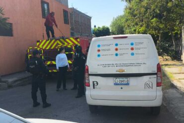 celaya proteccion animal