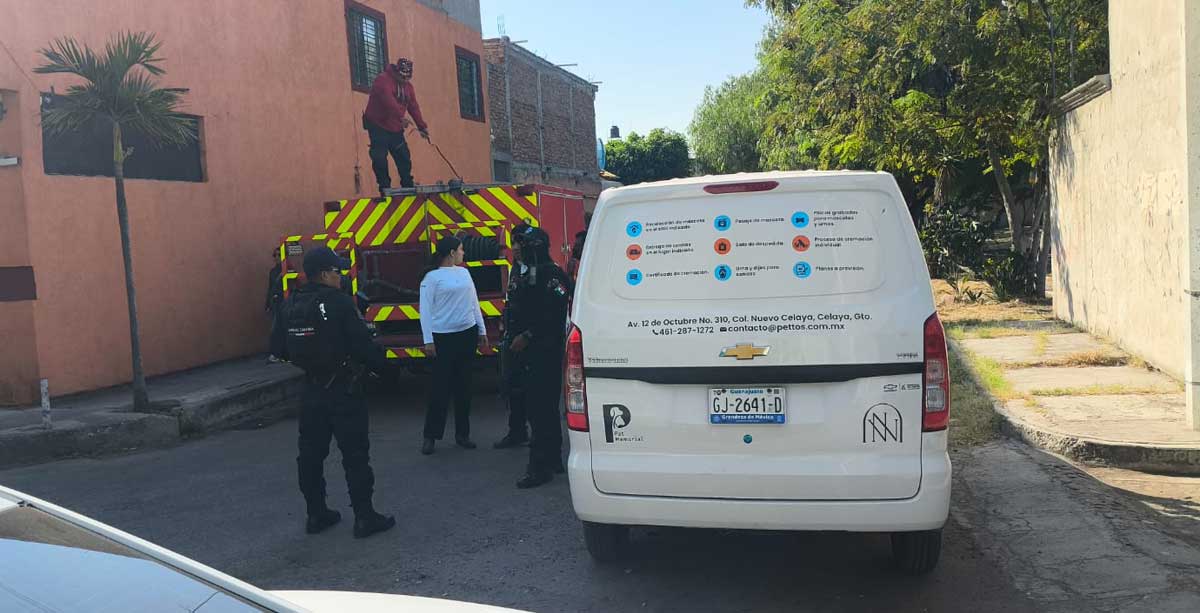 celaya proteccion animal