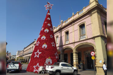 Arbol de navidad Celaya