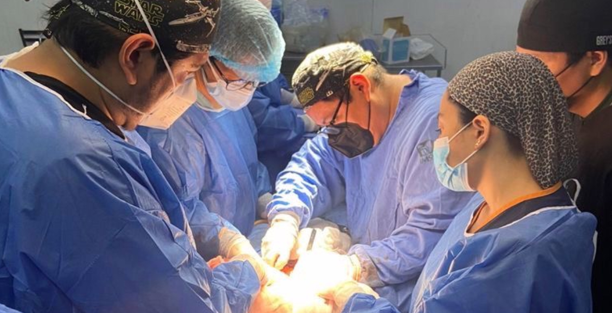 Donacion de organos