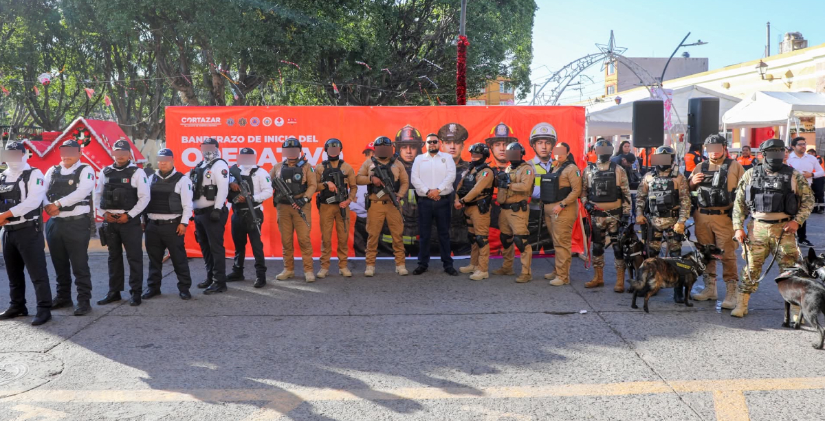 Seguridad cortazar