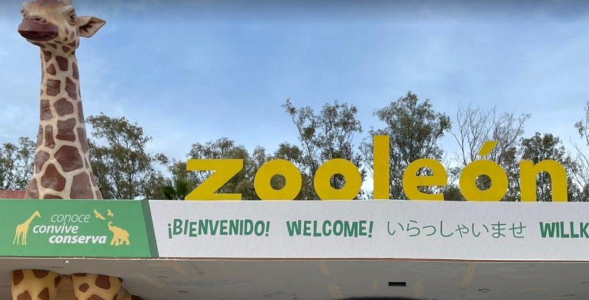 ZOO