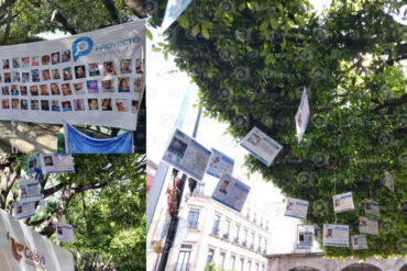 Arbol de la esperanza 2026