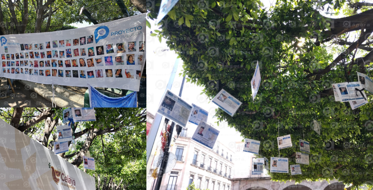 Arbol de la esperanza 2026