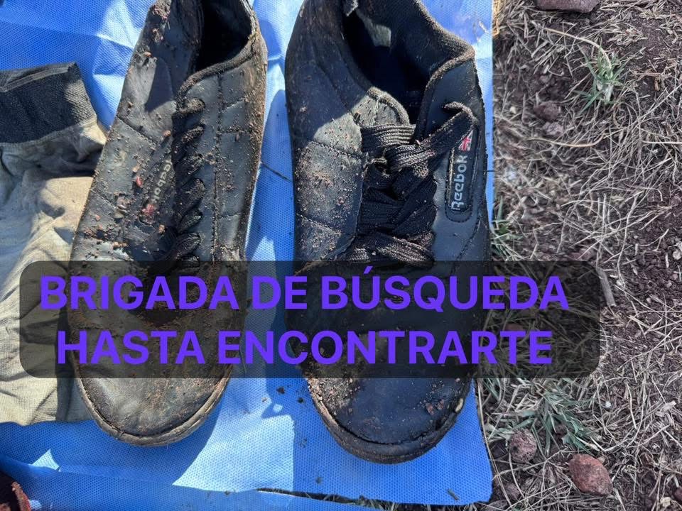Colectivo halla 3 fosas en Irapuato con los cuerpos de 5 hombres y una mujer IMG 3938