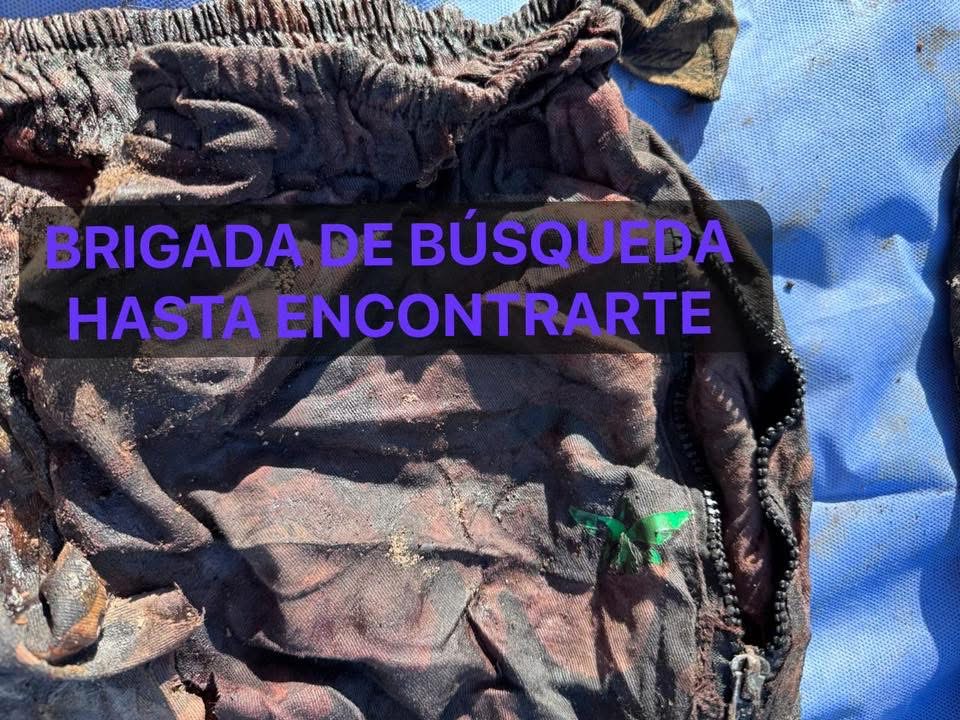 Colectivo halla 3 fosas en Irapuato con los cuerpos de 5 hombres y una mujer IMG 3949