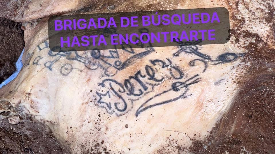 Colectivo halla 3 fosas en Irapuato con los cuerpos de 5 hombres y una mujer IMG 3950