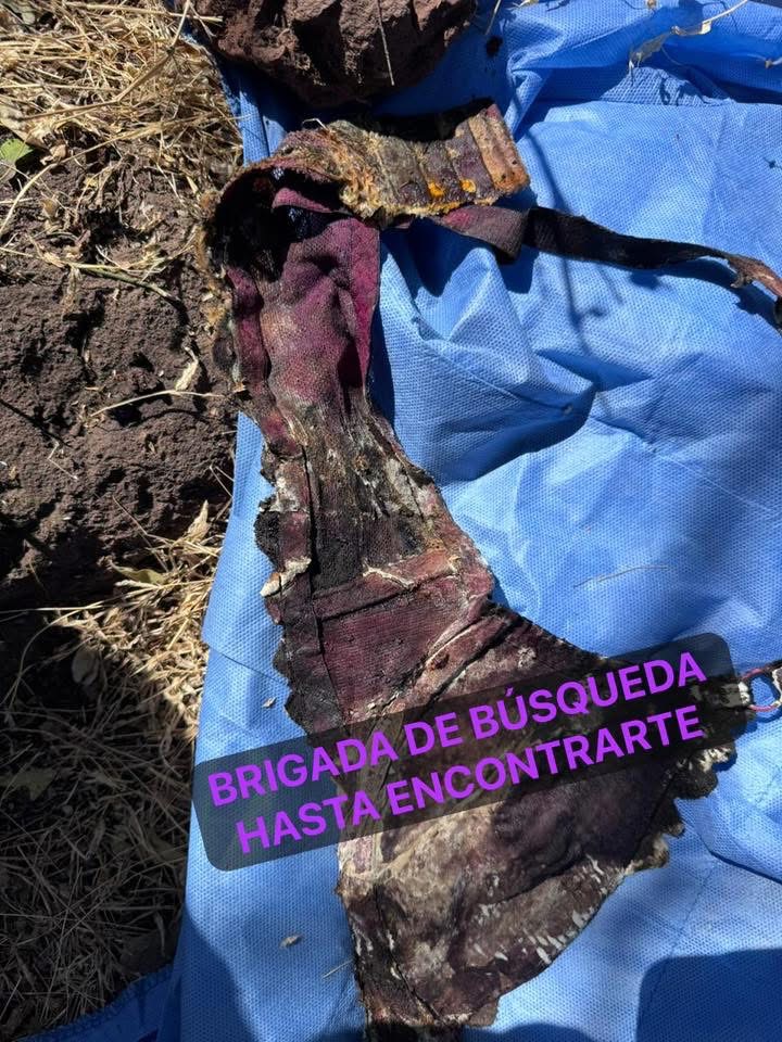 Colectivo halla 3 fosas en Irapuato con los cuerpos de 5 hombres y una mujer IMG 3954