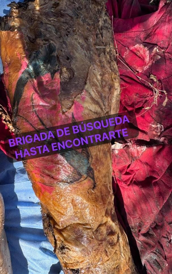 Colectivo halla 3 fosas en Irapuato con los cuerpos de 5 hombres y una mujer IMG 3960