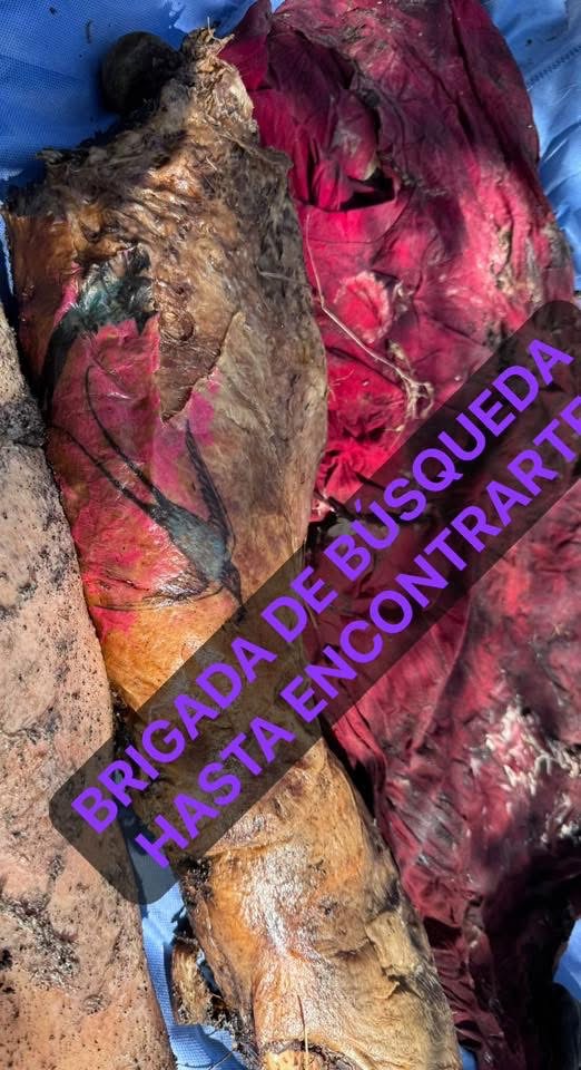 Colectivo halla 3 fosas en Irapuato con los cuerpos de 5 hombres y una mujer IMG 3961