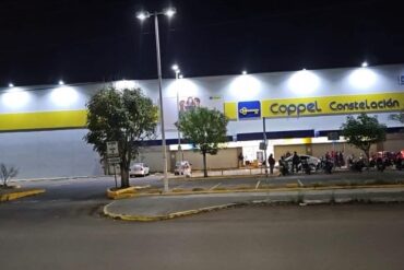 IMG 2943 e1768934841233