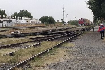 IMG 2945 e1768946248496