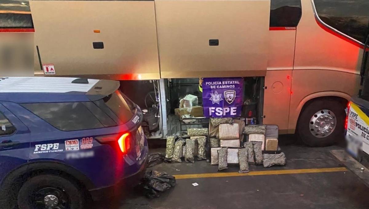 MARIHUANA AUTOBUS