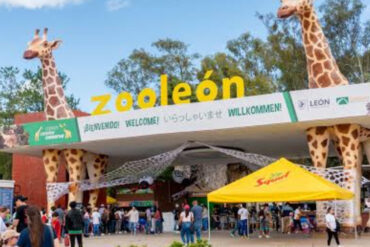 Zoo leon