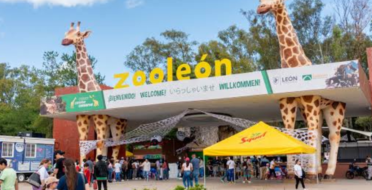 Zoo leon
