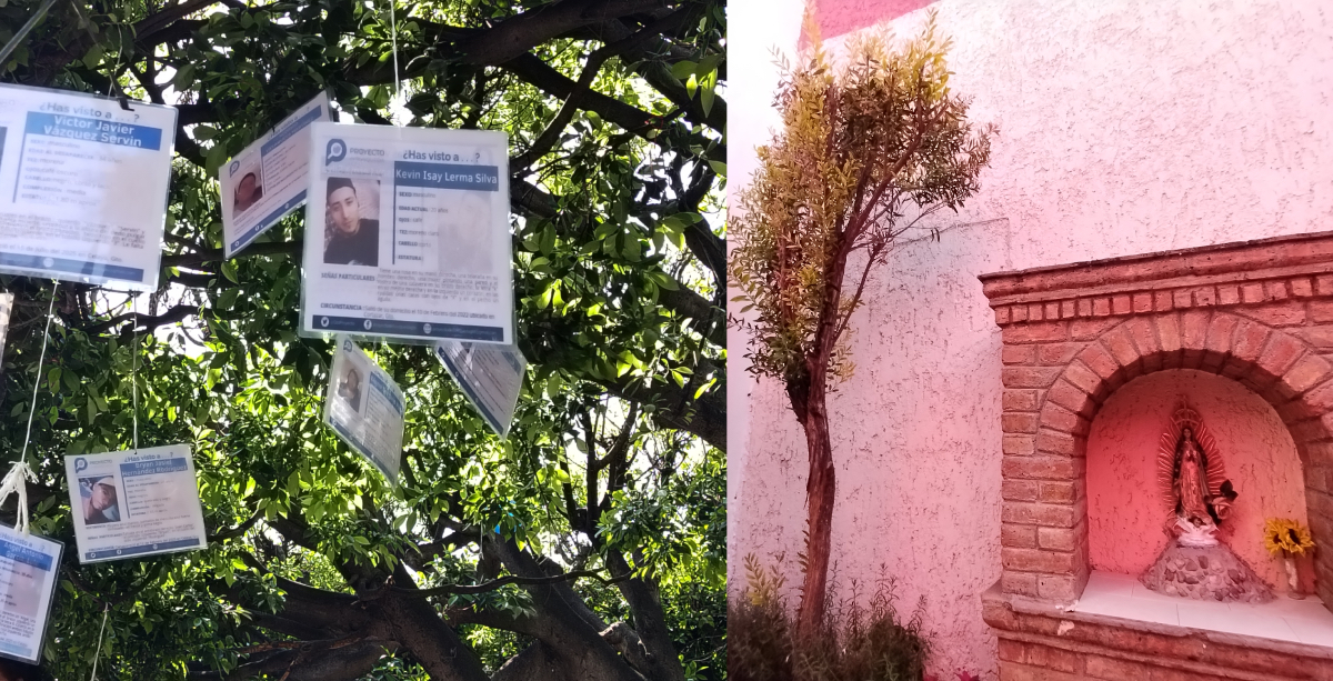 Arbol de la esperanza Villagran