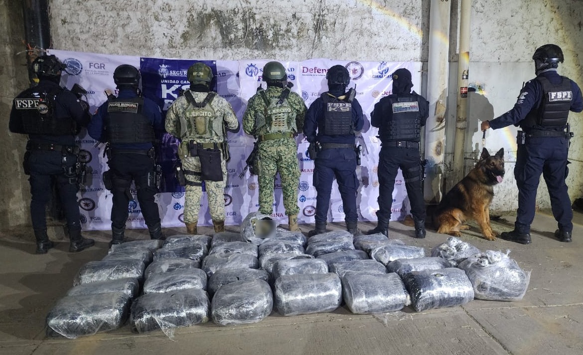 Asegura Unidad K9 mas de 126 mil dosis de droga en Irapuato 00