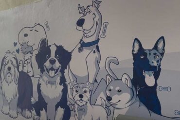 MASCOTAS 1