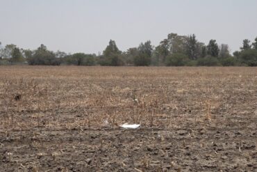 campo frio