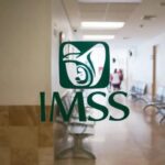 IMSS Quienes son 1024x768 5 1