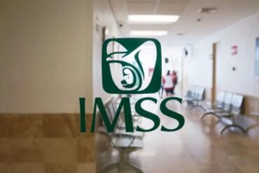 IMSS Quienes son 1024x768 5 1